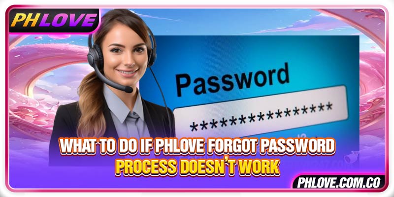 What to do if Phlove forgot password process doesn’t work